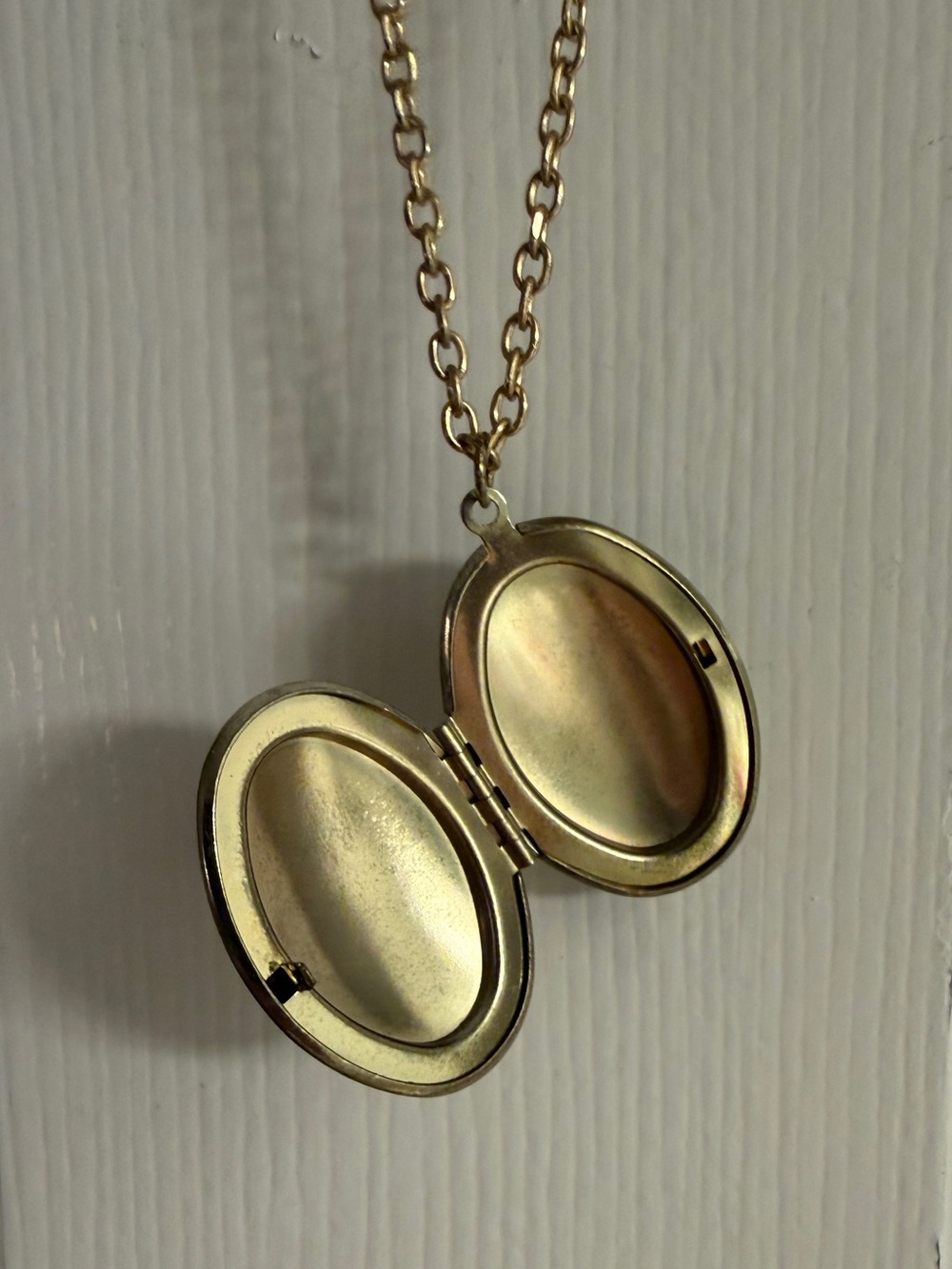 Bird Locket - Picture 3 of 3